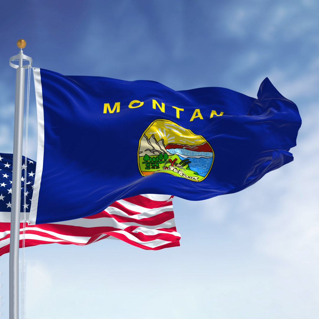 Montana Sales and Resort Taxes Featured Image