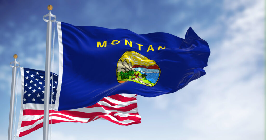 Montana State Flag