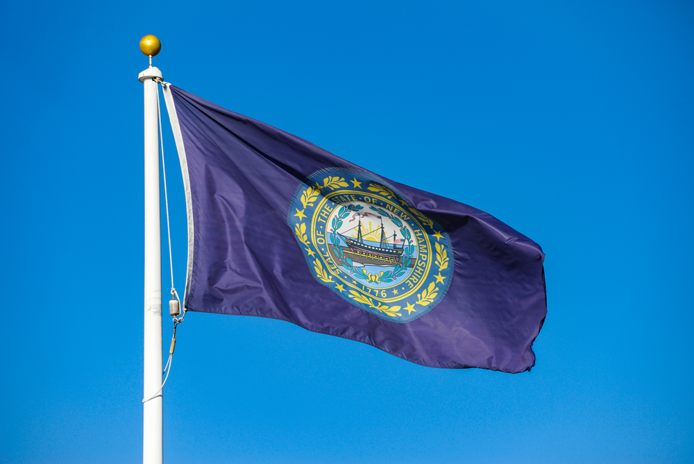 New Hampshire State Flag