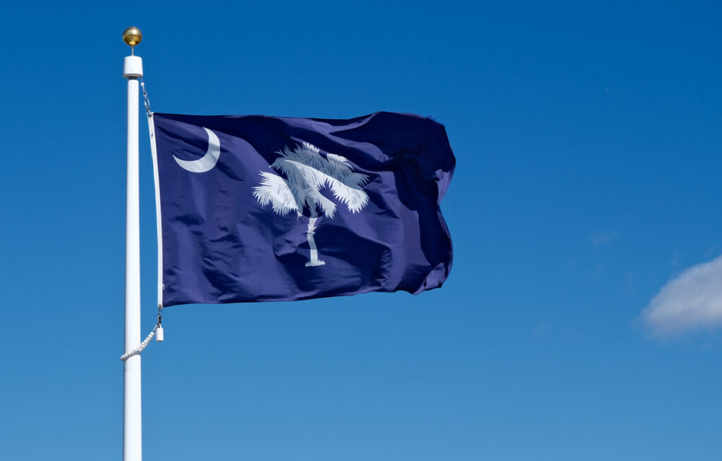 Bandera del estado de Carolina del Sur